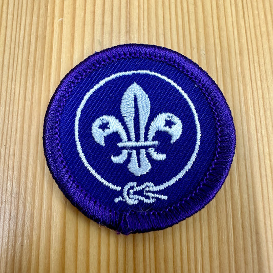 Insigne WOSM International